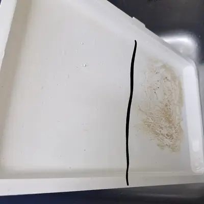 주례청소업체 고객만족 이사청소 현장 사진